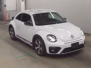 VOLKSWAGEN THE BEETLE