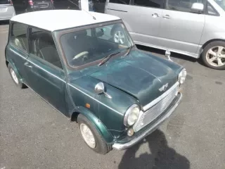 ROVER MINI