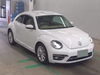 VOLKSWAGEN THE BEETLE