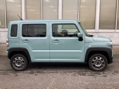 SUZUKI HUSTLER