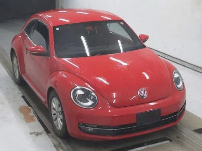 VOLKSWAGEN THE BEETLE