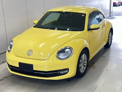 VOLKSWAGEN THE BEETLE