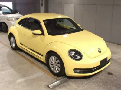 VOLKSWAGEN THE BEETLE
