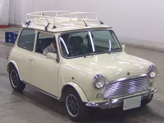 ROVER MINI