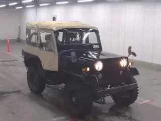 MITSUBISHI JEEP