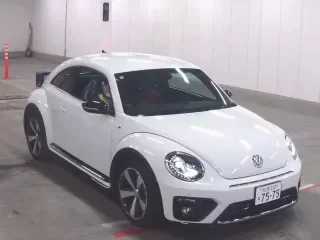 VOLKSWAGEN THE BEETLE