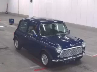 ROVER MINI