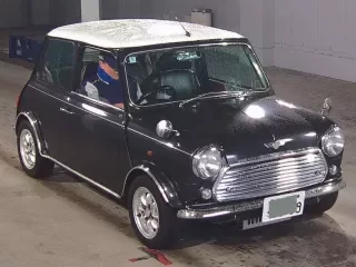 ROVER MINI