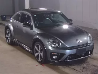VOLKSWAGEN THE BEETLE