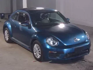 VOLKSWAGEN THE BEETLE