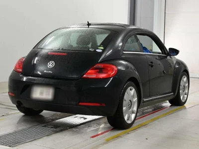 VOLKSWAGEN THE BEETLE