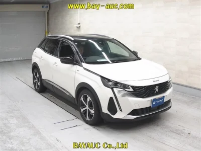 PEUGEOT 3008 1