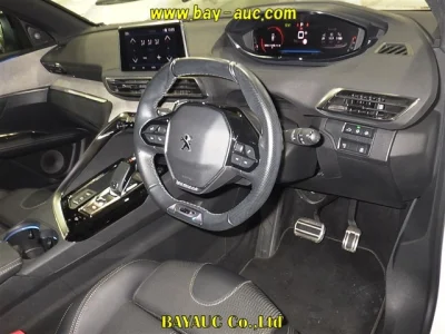 PEUGEOT 3008 3