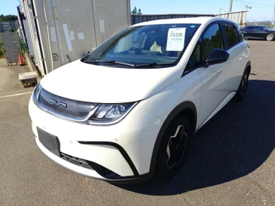 BYD Dolphin