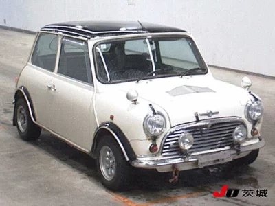 ROVER MINI