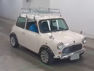 ROVER MINI