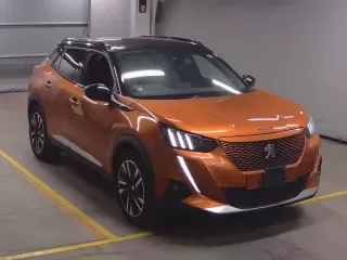 PEUGEOT E-2008