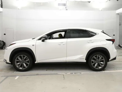 Lexus NX300h