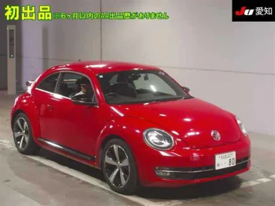 VOLKSWAGEN THE BEETLE 1