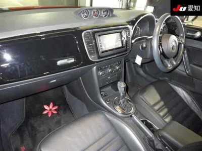 VOLKSWAGEN THE BEETLE 3