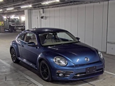 VOLKSWAGEN THE BEETLE 1