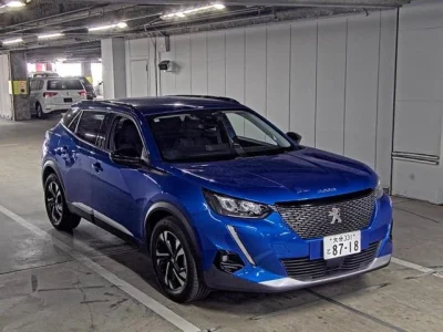 PEUGEOT 2008 1