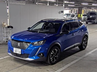 PEUGEOT 2008 4
