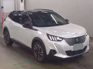PEUGEOT E-2008