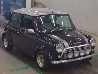 ROVER MINI
