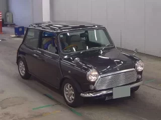ROVER MINI