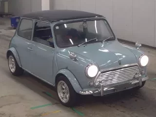 ROVER MINI