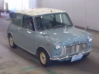 ROVER MINI