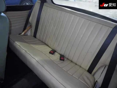 ROVER MINI