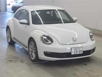 VOLKSWAGEN THE BEETLE
