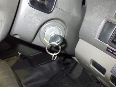 Статистика аукционов Nissan Elgrand