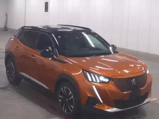 PEUGEOT E-2008