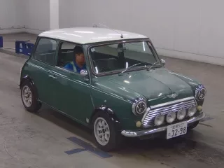 ROVER MINI