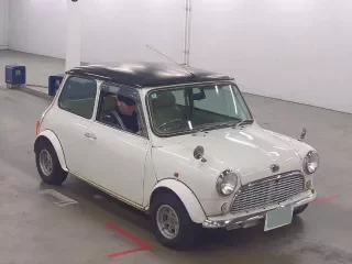 ROVER MINI