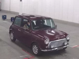 ROVER MINI