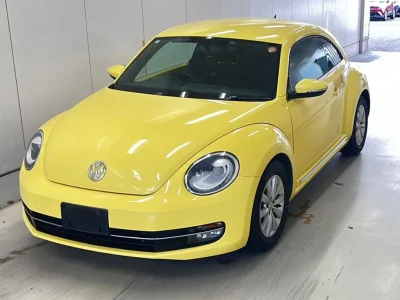 VOLKSWAGEN THE BEETLE