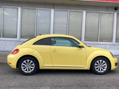 VOLKSWAGEN THE BEETLE