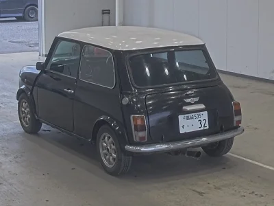 ROVER MINI