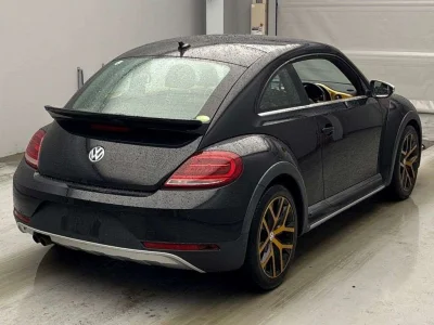 VOLKSWAGEN THE BEETLE