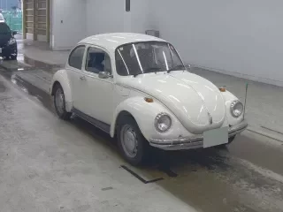 VOLKSWAGEN BEETLE 1