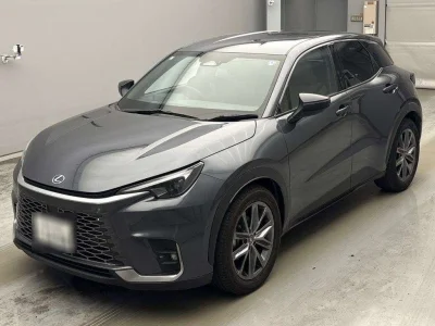 LEXUS LBX