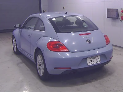 VOLKSWAGEN THE BEETLE