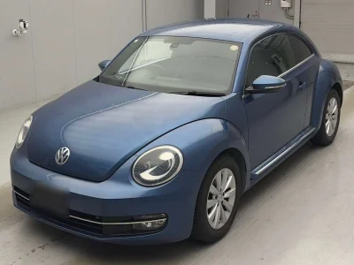 VOLKSWAGEN THE BEETLE