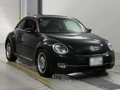 VOLKSWAGEN THE BEETLE
