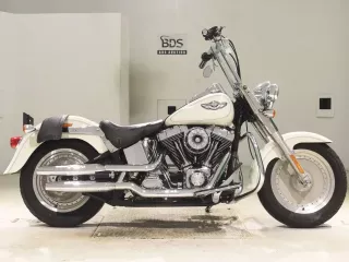 Harley-Davidson HARLEY FLSTF1450 с аукционов Японии