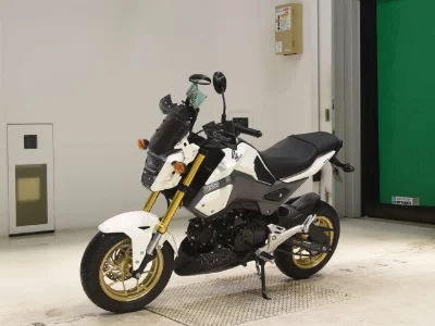 Honda GU ROM